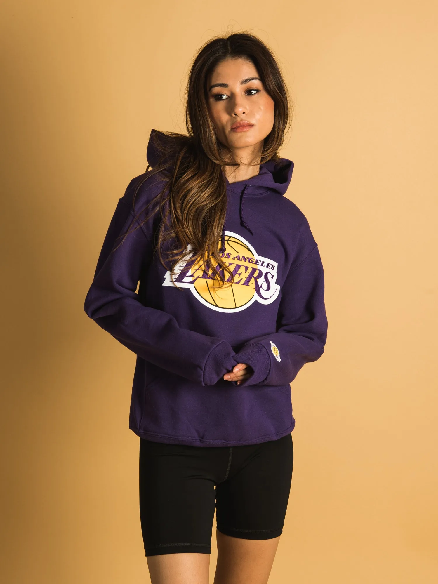 NBA LOS ANGELES LAKERS EMBROIDERED HOODIE  - CLEARANCE