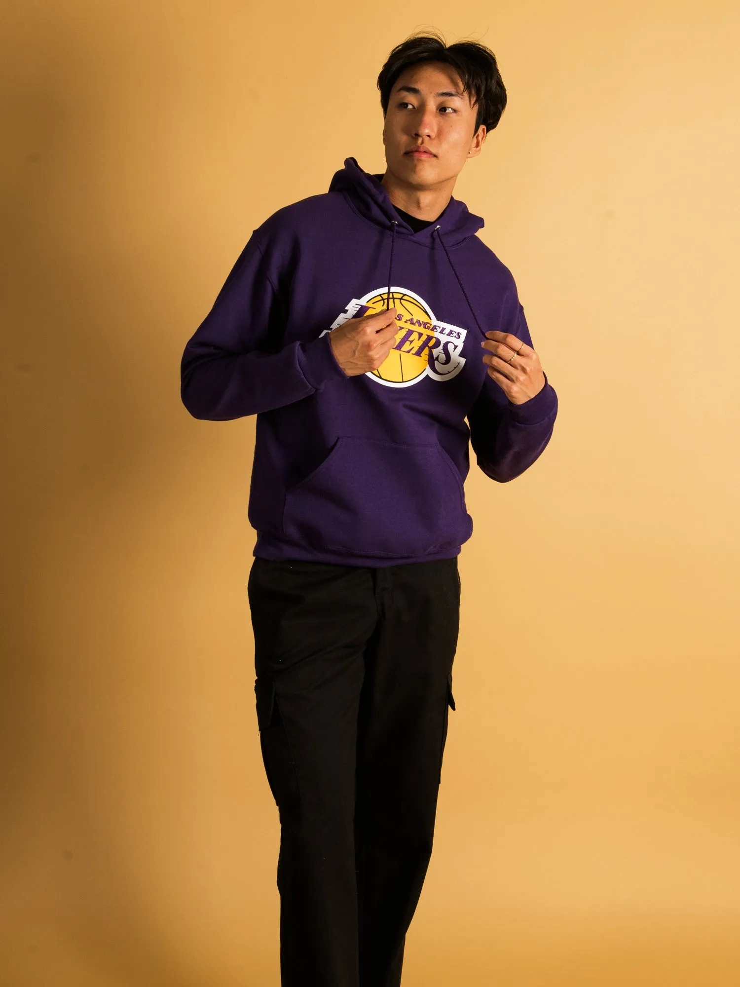 NBA LOS ANGELES LAKERS EMBROIDERED HOODIE  - CLEARANCE