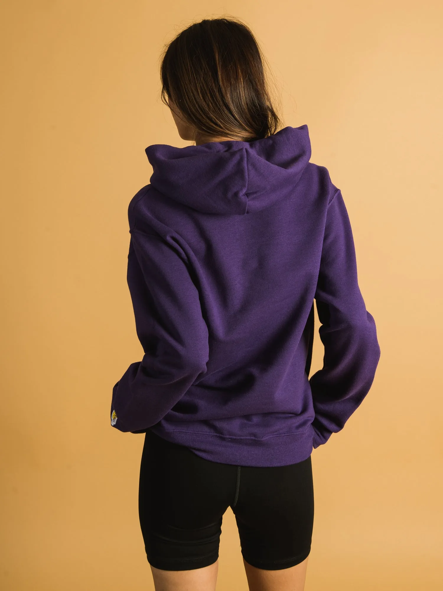 NBA LOS ANGELES LAKERS EMBROIDERED HOODIE  - CLEARANCE