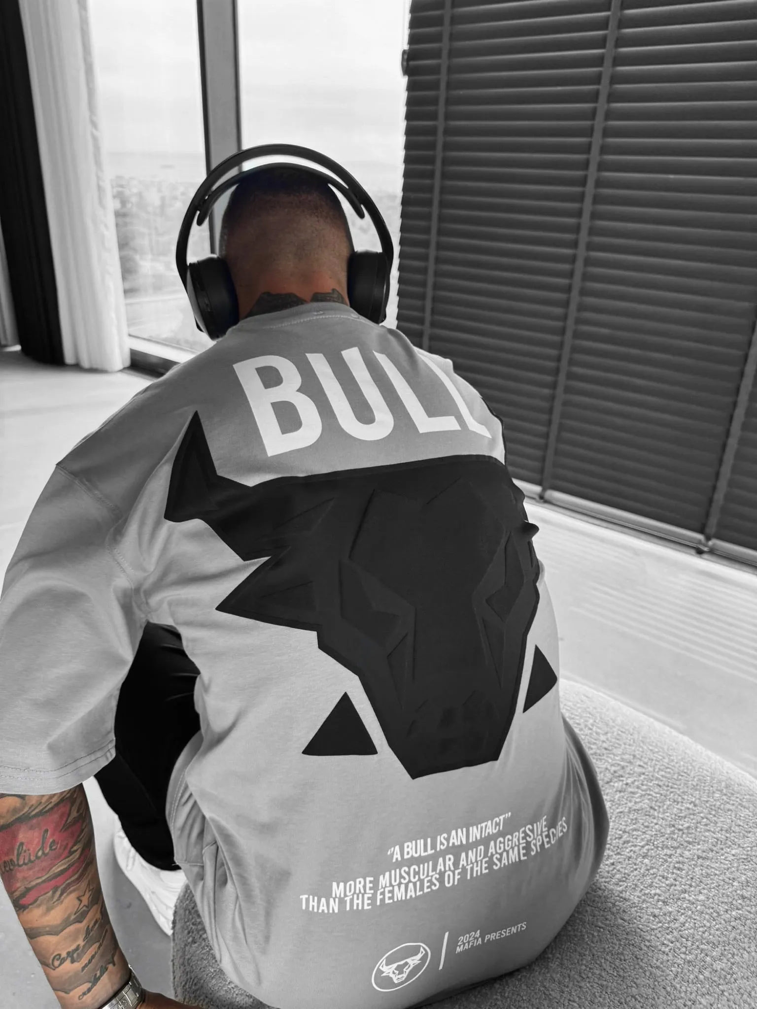 Oversize Bull T-shirt - Grey and Black