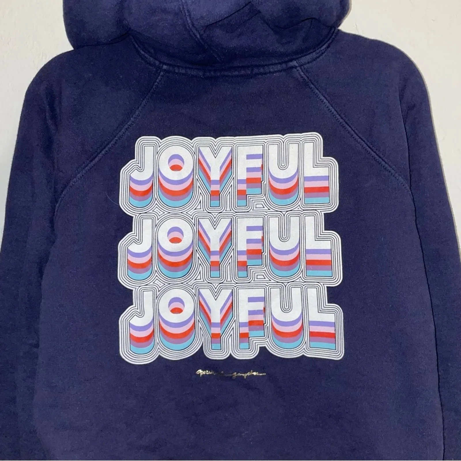 Spiritual Gangster Classic Raglan Rainbow Joyful Hoodie Sweatshirt (Small)