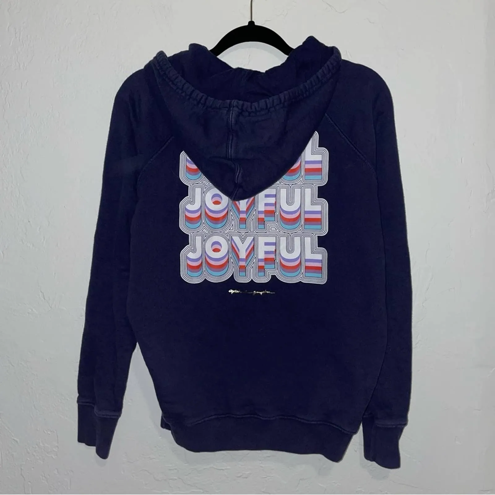 Spiritual Gangster Classic Raglan Rainbow Joyful Hoodie Sweatshirt (Small)